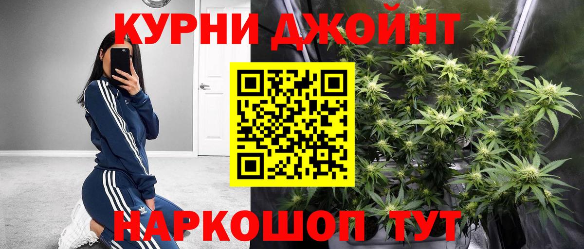 Каннабис Ganja Кудрово
